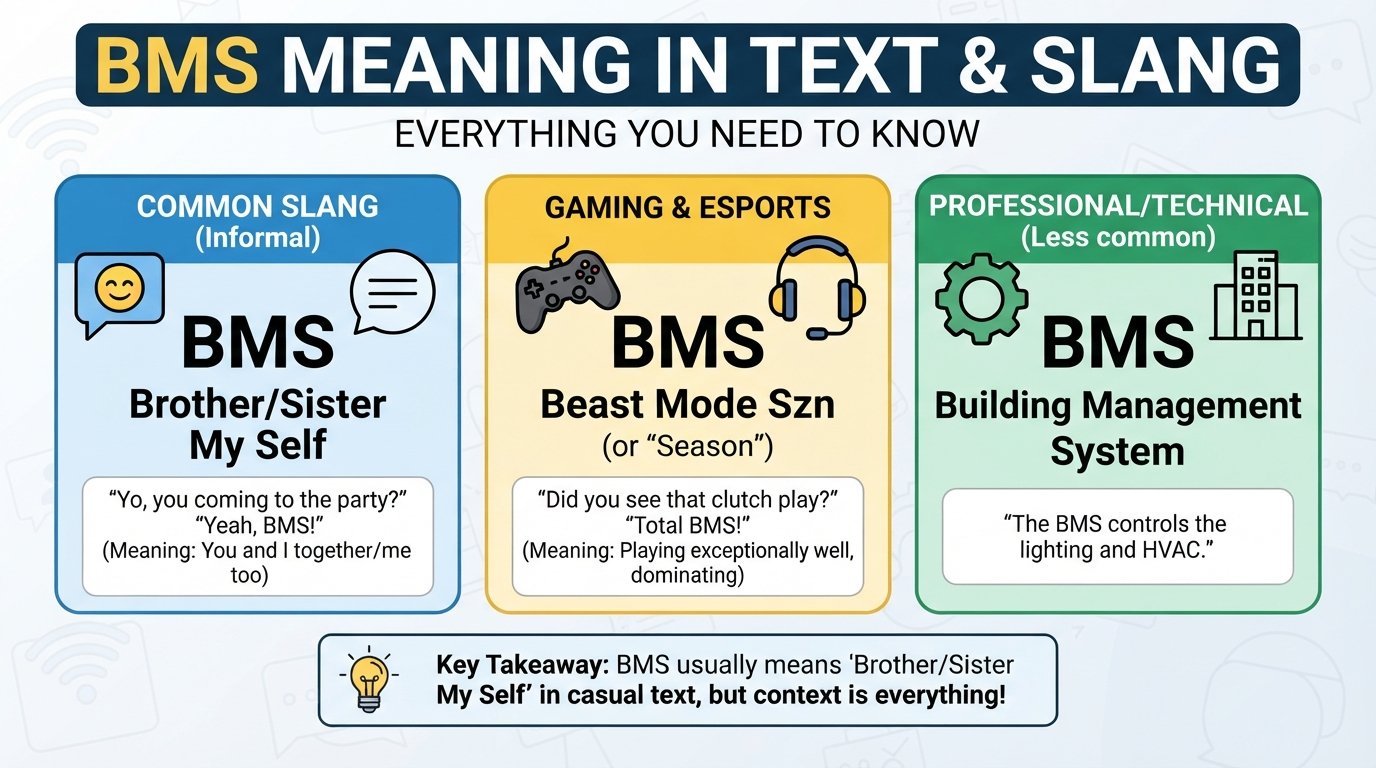 BMS Meaning in Text
