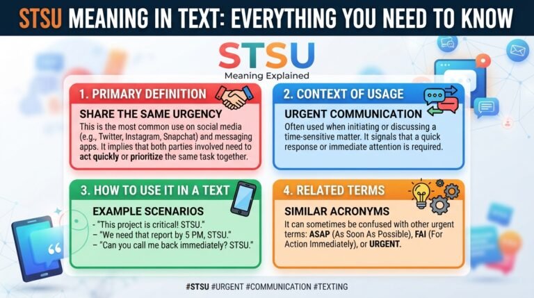 STSU Meaning in Text